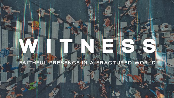 medium_image-1747769921398-0SuzXj